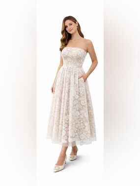 Brand New Never Worn Aidan By Aidan Mattox Ao Lace Busitier Dress